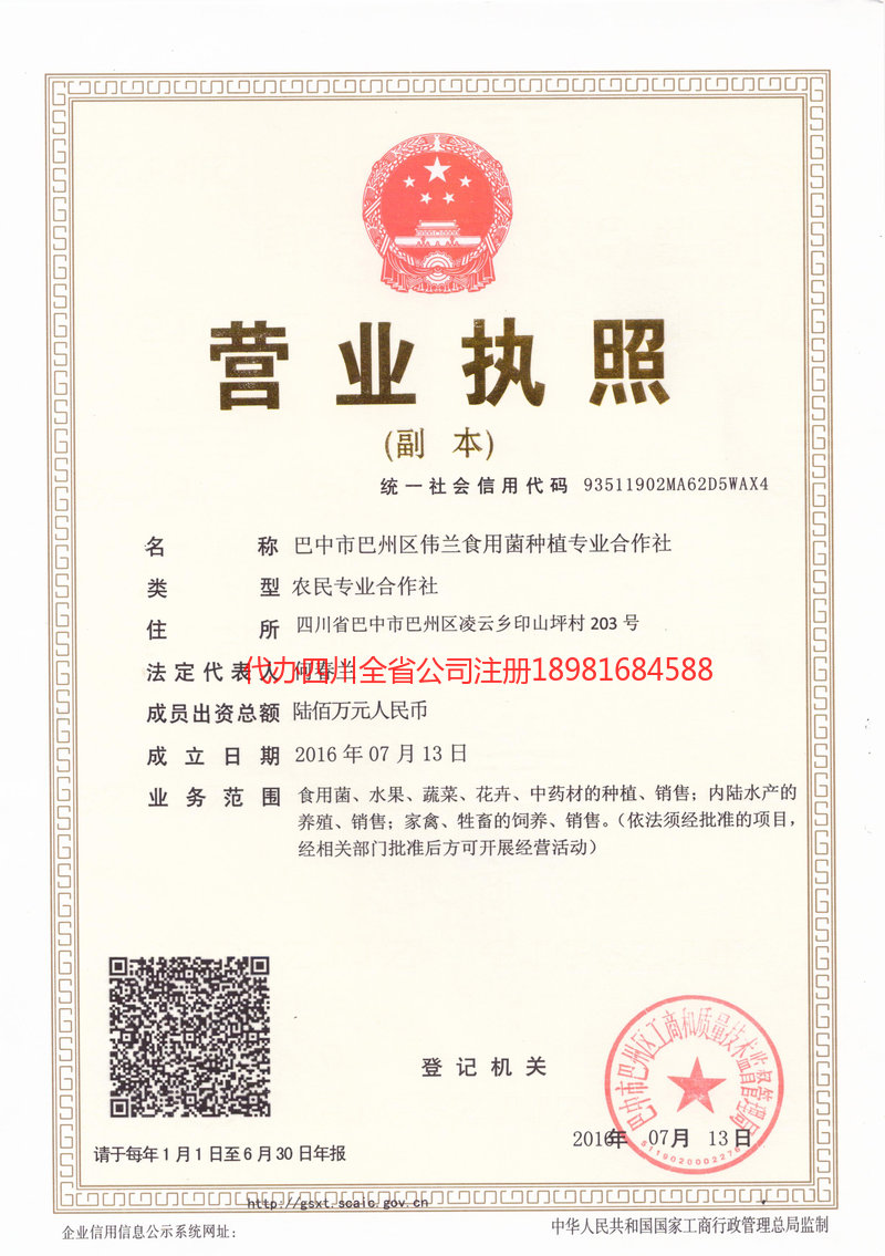 英德英德伟兰食用菌种植专业合作社